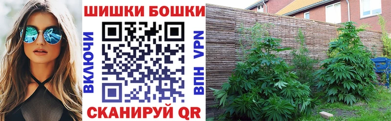 блэк спрут ссылки  Пошехонье  Каннабис OG Kush 